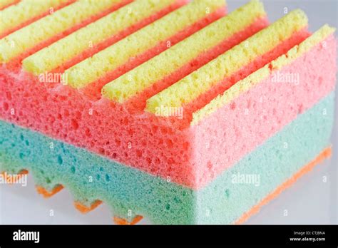sponge detail  res stock photography  images alamy