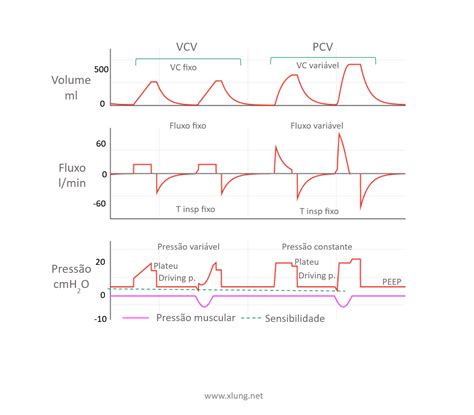 Ventila O Mec Nica Uma Vis O Geral Xlung Net