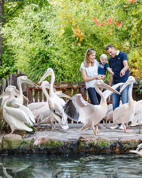 Kastens Hotel Luisenhof Hannover | Hanover