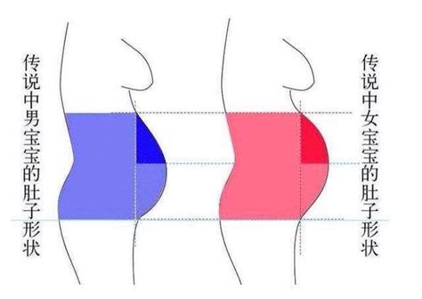 生男生女早知道：从孕妇肚型看胎儿男女的方法 搜狐