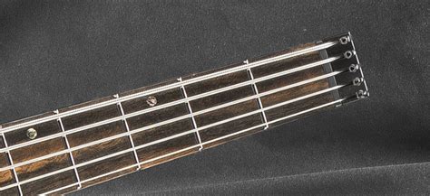 Kiesel Guitars Introduces Amos Williams Signature Vader Bass No Treble