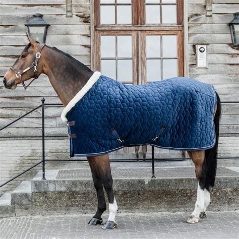 Derka Stajenna Kentucky Velvet Show Rug 160g Navy GNL