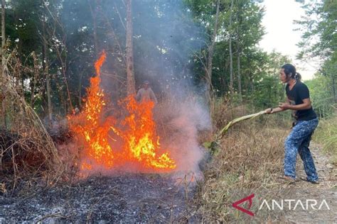 BPBD Cianjur Tuntaskan Penanganan Kebakaran Lahan Seluas 17 Hektare