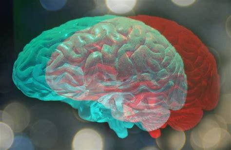 ‘brain Fingerprinting Of Adolescents Might Be Able To Predict Mental