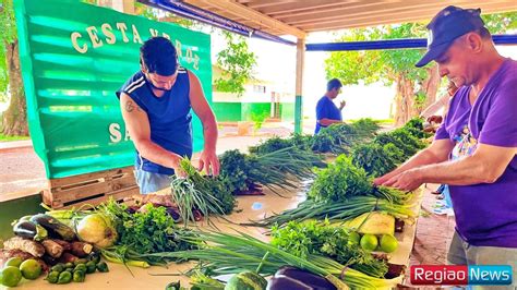 Cesta Verde Garante Renda No Campo E Alimento Para Fam Lias De