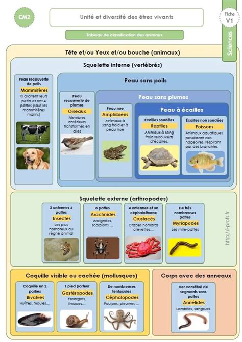 Cm Trace Ecrite Sur L Unit Et Diversit Des Tres Vivants