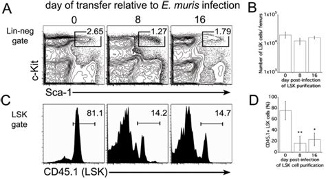 A The Bone Marrow Of Chimeric Mice Described In Fig Were