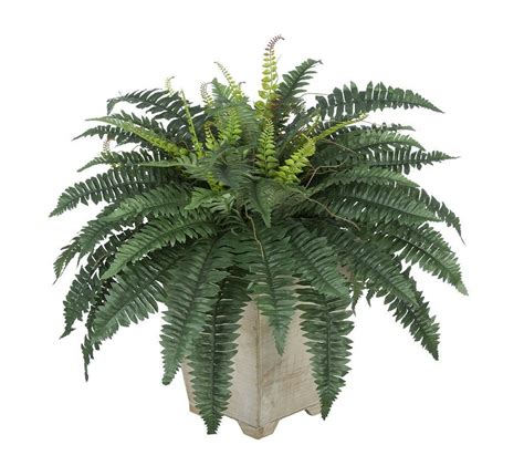 Artificial Fern In Small Washed Wood Planter House Of Silk Flowers