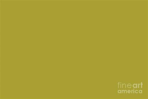 Dark Goldenrod Yellow Green Solid Color Pairs To Sherwin Williams High