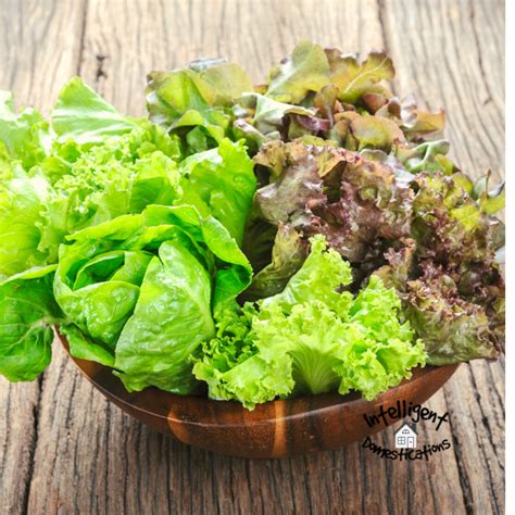 How To Grow Salad Greens Year Round Intelligent Domestications