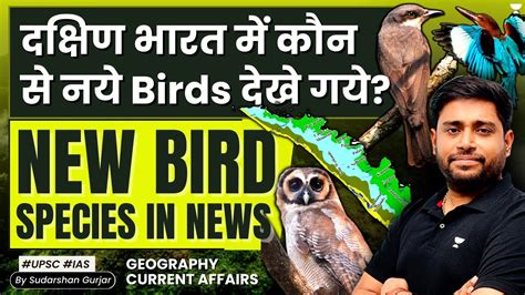 दकषण भरत म कन स नय Birds दख गय New Bird Species in News