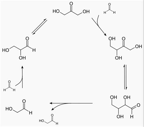 theoretical chemistry - Difference between the terms "autocatalysis" and "(branching) chain ...