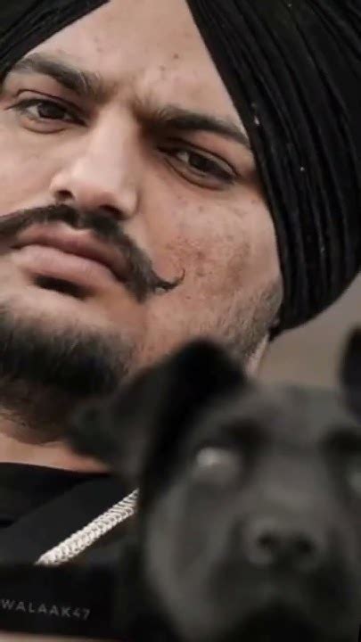 Goat Sidhu Moose Wala Snitches Get Stitches Latest Punjabi Album 2020 Youtube