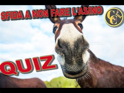 Quiz Di Cultura Generale 16 Domande Che Ti Faranno Dubitare Delle Tue