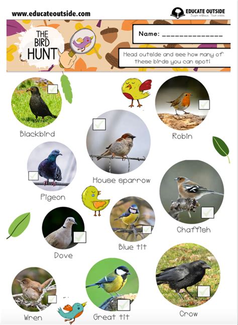 The Bird Scavenger Hunt Educate Outside Outdoor Lesson Ideas For Teachers