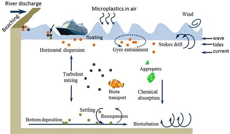 A Review Of Possible Pathways Of Marine Microplastics Transport In The