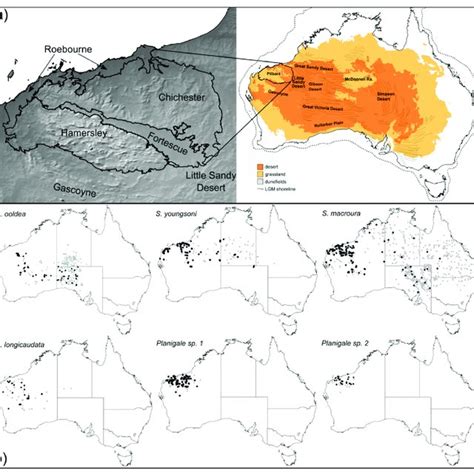 A Map Of Australia Showing Arid Regions Labeled As Desert And