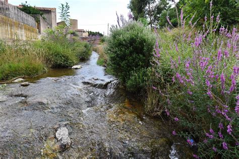 Photos Et Mairie De Saint F Liu D Amont