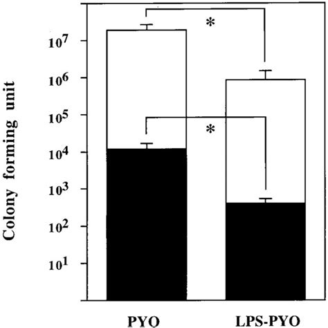 Lung Homogenate And Bronchoalveolar Lavage Bal Fluid Cultures See