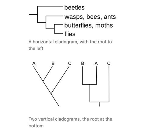 BIO 103 Final Exam Flashcards Quizlet