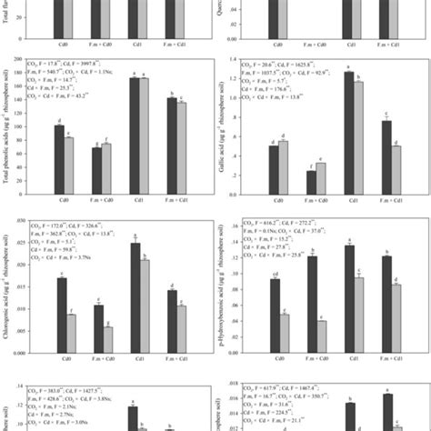 Correlation Between Spore Density And Root Colonization Of AMF With