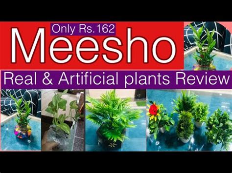 Meesho Real Artificial Plants Haul Starting From Rs 162 Only YouTube