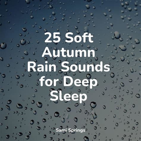 25 Soft Autumn Rain Sounds For Deep Sleep Album By Rainy Sounds Spotify