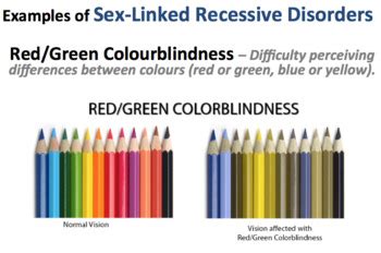 Sex Linked Traits Editable By Miss Epic S Science Spot Tpt