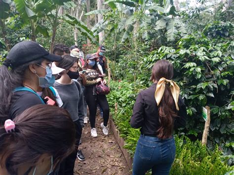 Estudiantes De Agroindustrial De Las Uts Comenzaron Visitas T Cnicas Y