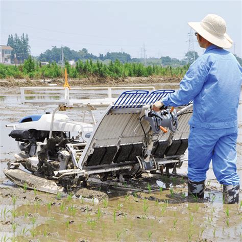 Row Walking Transplanting Rice Planter Paddy Machine For Sale China