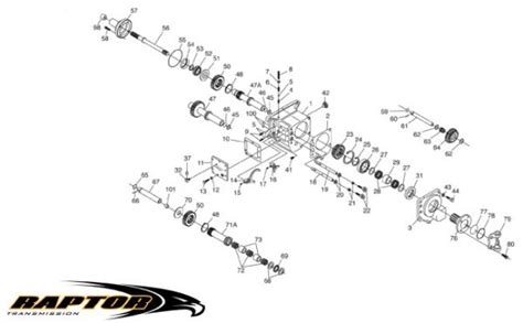 Raptor Gearbox Parts Cardwells Ltd Suppliers To The Champions