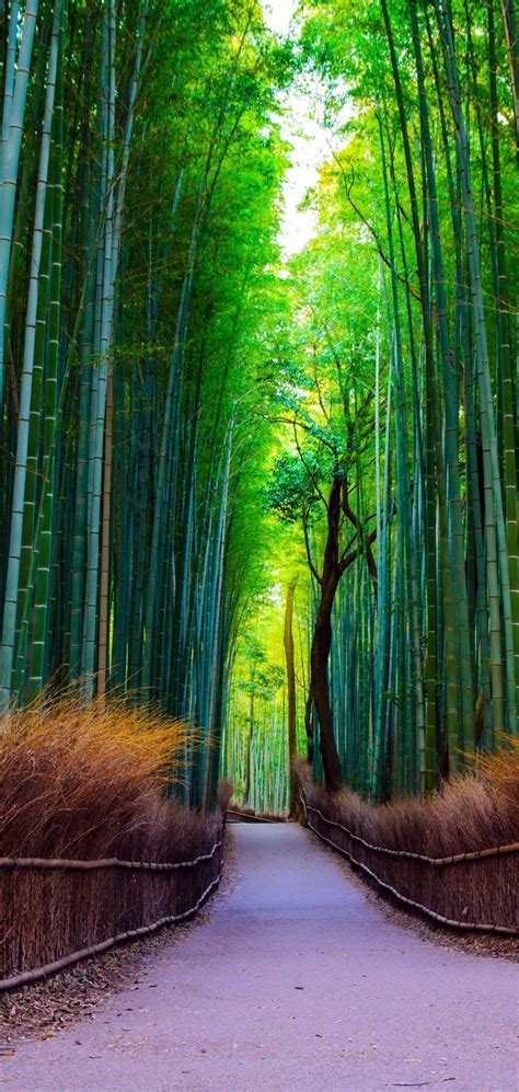 19 Reasons To Love Japanan An Unforgettable Travel Destination