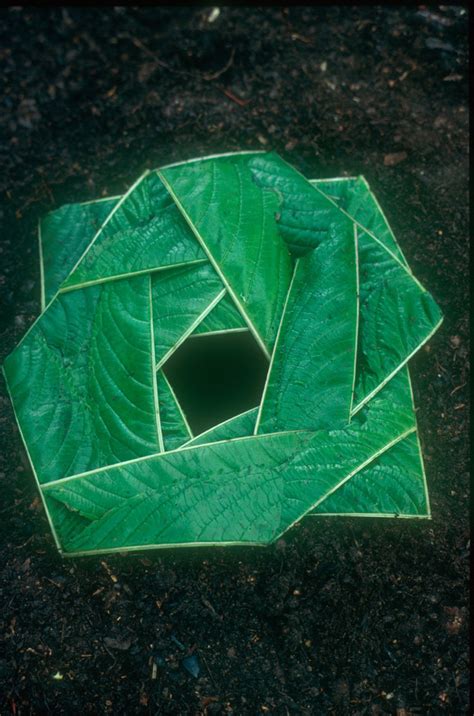 Andy Goldsworthy Leaves And Hole