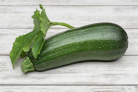 Summer Squash Zucchini Cashflow Hybrid Seeds Hometown Seeds