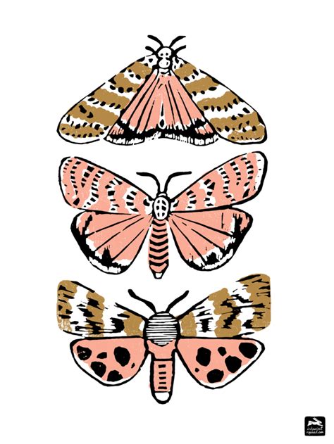 Linocut Artists Linocut Printmaking Printmaking Ideas Moth Art