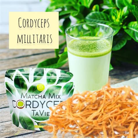 Чай Матча-Кордицепс - Matcha Mix CORDYCEPS TaVie