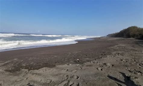 Pantai Pandansari Bantul Menikmati Keindahan Pantai Dari Mercusuar