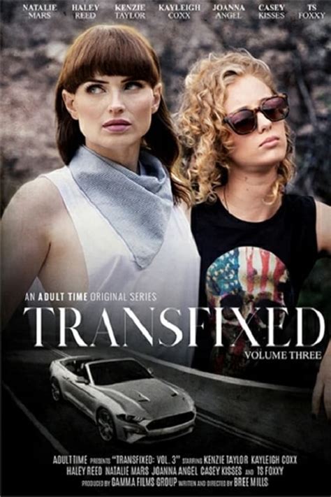 Transfixed 3 2019 — The Movie Database Tmdb