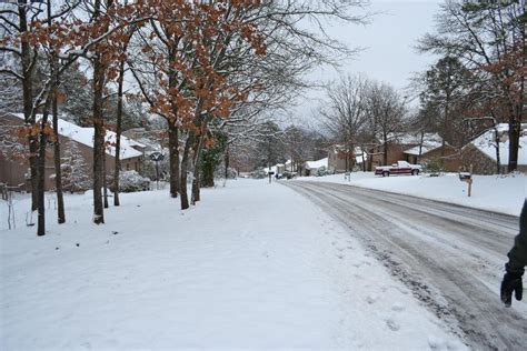 An Archivist's Miscellania: Photo catch-up - January snow storm