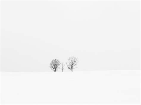 Hokkaido Biei 5k Snowing Tranquil Scene Landscape Beauty In