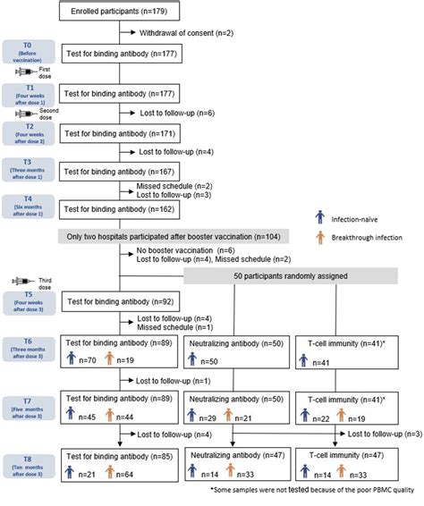 Figure From Longitudinal Immune Kinetics Of Covid Booster Versus