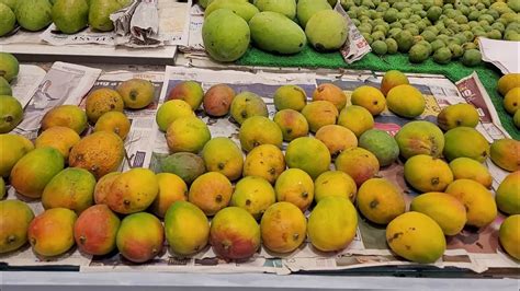 Different Varieties Of Mangoes In India Top Best Mango Names In India Types Of Mangoes In