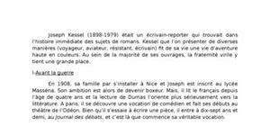 Le Lion Kessel Questionnaire De Lecture