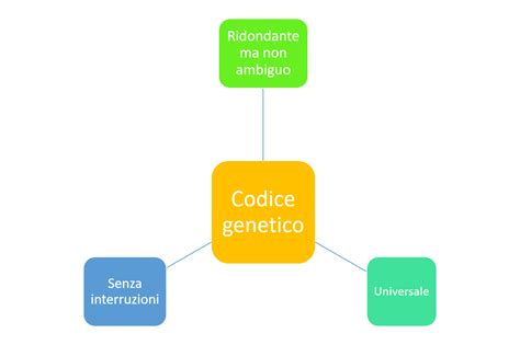 Il Codice Genetico Caratteristiche Generali Microbiologia Italia