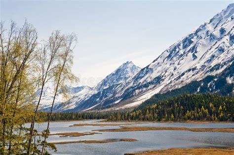 Alaskan landscape stock photo. Image of range, flooded - 11458292