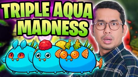 HIGH RANK TRIPLE AQUA SQUARE TEETH BUILD ORIGINS LEADERBOARDS AXIE