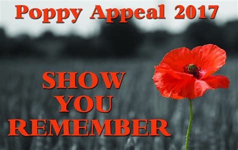 Busy Month For The Rbl With Launch Of Poppy Appeal The Leader Newspaper