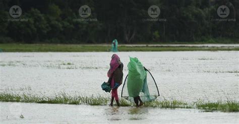 Heavy Rain Continues To Lash North Central Kerala Yellow Alert In