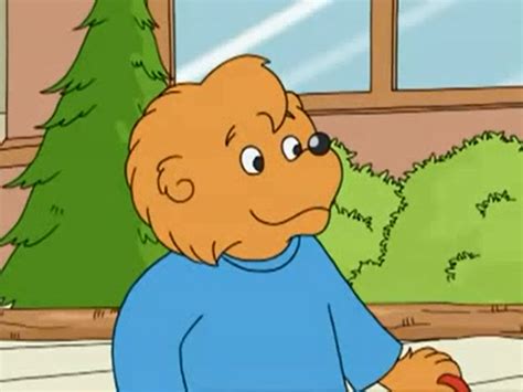 The Berenstain Bears 1985