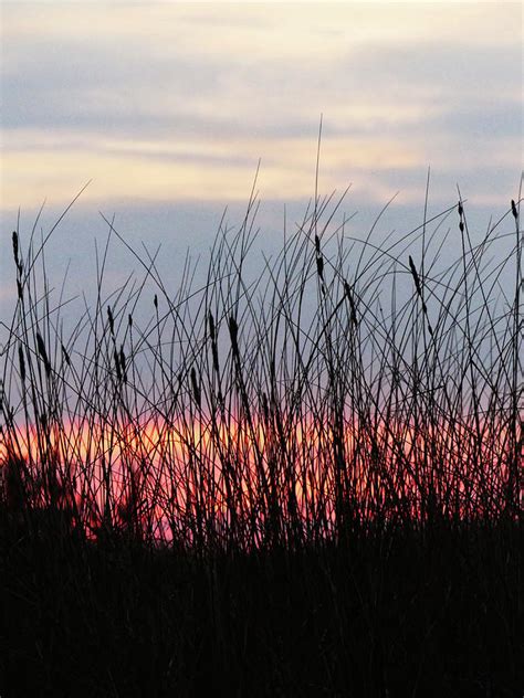 In The Beginning Photograph By Sharon Williams Eng Fine Art America